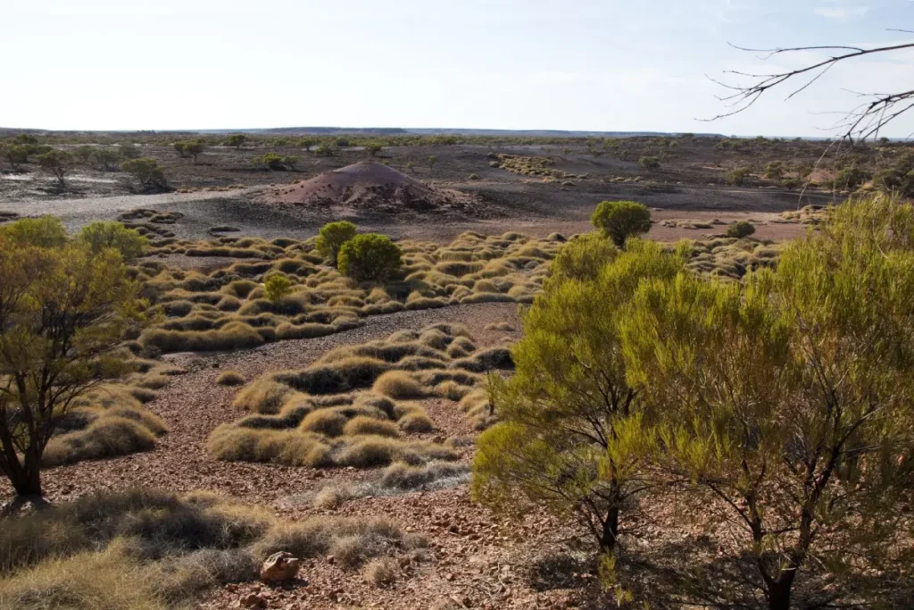 RS16520_Pullen+Pullen_Annette+Ruzicka_0242-lpr (1)