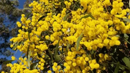 B427FDE6-970C-49B0-A9A6-85D94F74FD9F (1)